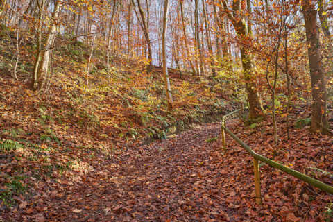 Gemeinde Julbach Landkreis Rottal-Inn Schlossberg Herbst (Dirschl Johann) Deutschland PAN